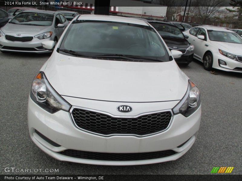 Snow White Pearl / Black 2014 Kia Forte LX