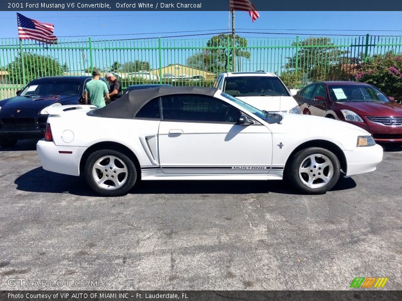 Oxford White / Dark Charcoal 2001 Ford Mustang V6 Convertible