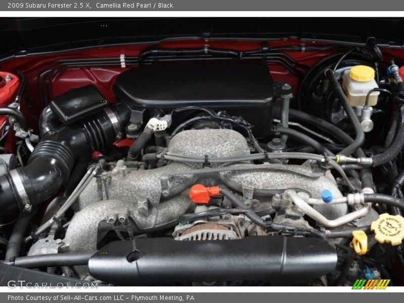 Camellia Red Pearl / Black 2009 Subaru Forester 2.5 X