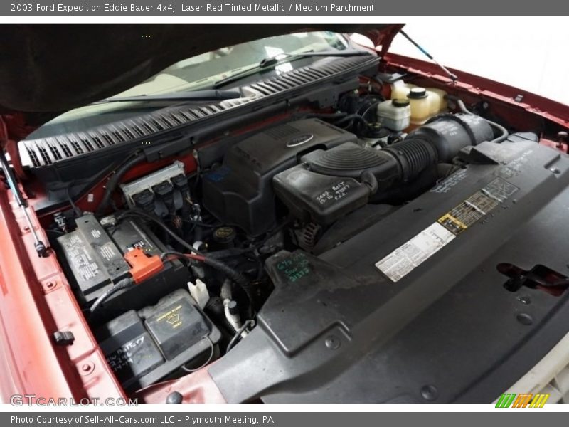 Laser Red Tinted Metallic / Medium Parchment 2003 Ford Expedition Eddie Bauer 4x4