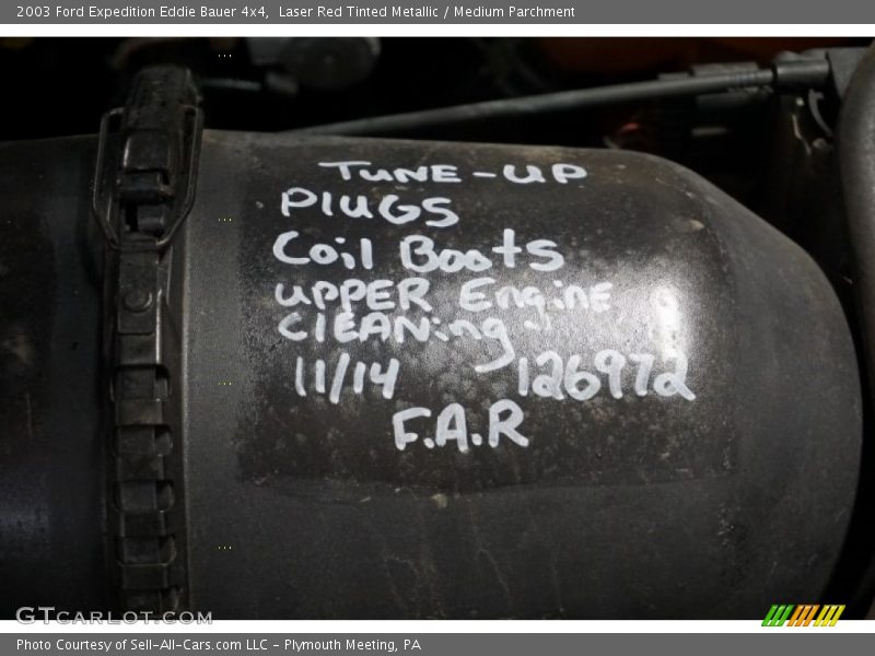 Laser Red Tinted Metallic / Medium Parchment 2003 Ford Expedition Eddie Bauer 4x4