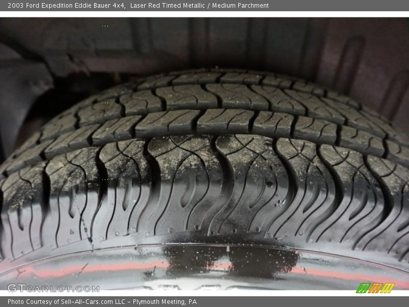 Laser Red Tinted Metallic / Medium Parchment 2003 Ford Expedition Eddie Bauer 4x4