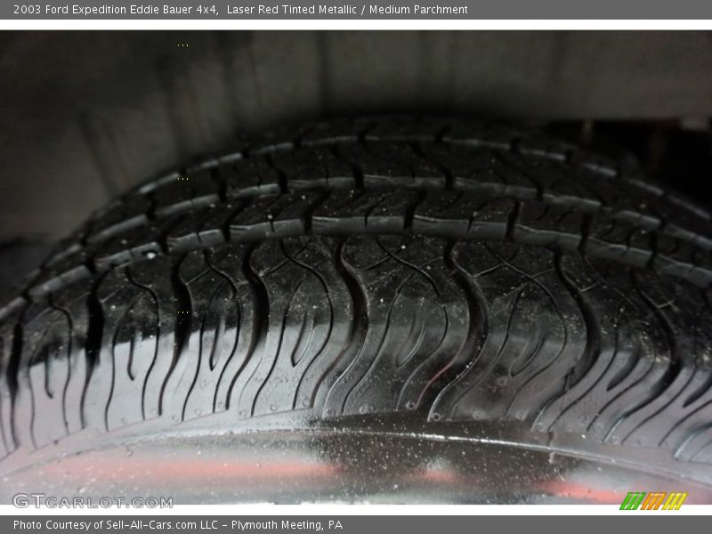 Laser Red Tinted Metallic / Medium Parchment 2003 Ford Expedition Eddie Bauer 4x4