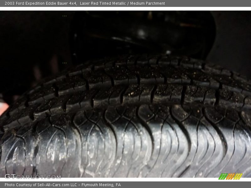 Laser Red Tinted Metallic / Medium Parchment 2003 Ford Expedition Eddie Bauer 4x4