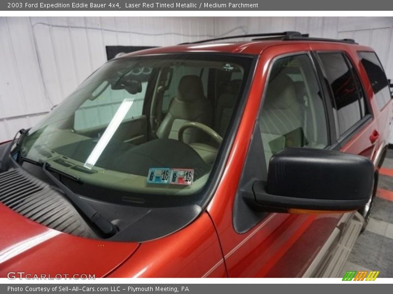 Laser Red Tinted Metallic / Medium Parchment 2003 Ford Expedition Eddie Bauer 4x4
