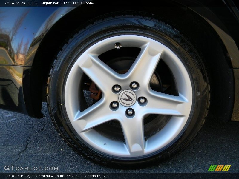 Nighthawk Black Pearl / Ebony 2004 Acura TL 3.2