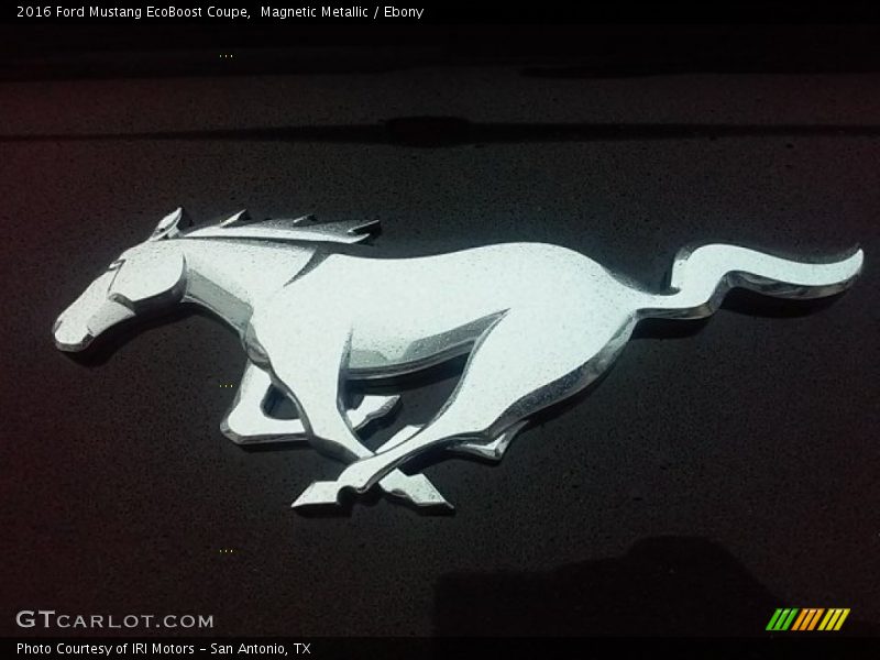 Magnetic Metallic / Ebony 2016 Ford Mustang EcoBoost Coupe