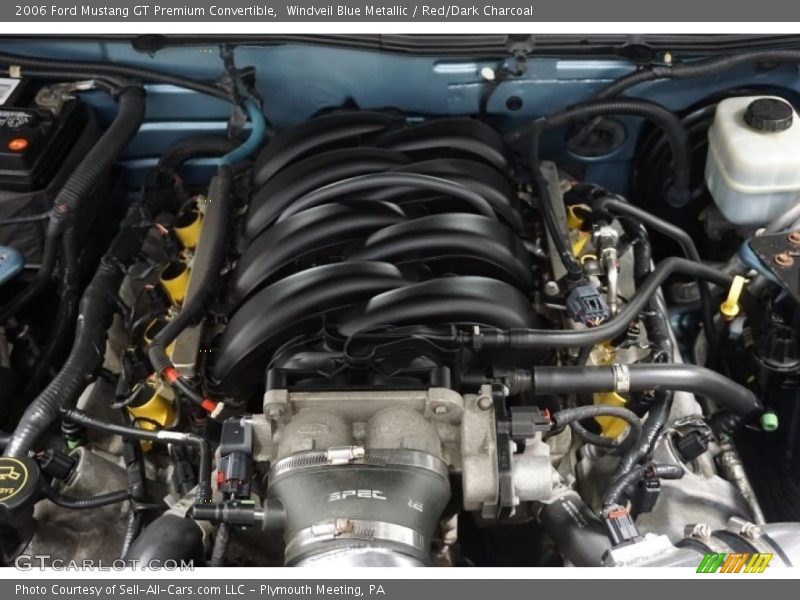 Windveil Blue Metallic / Red/Dark Charcoal 2006 Ford Mustang GT Premium Convertible