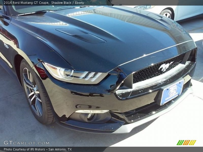 Shadow Black / Ebony 2016 Ford Mustang GT Coupe