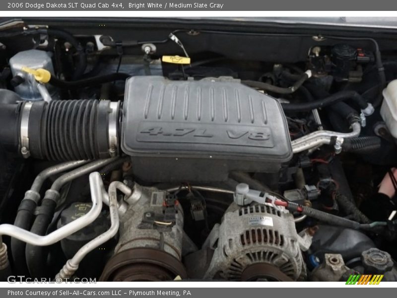 Bright White / Medium Slate Gray 2006 Dodge Dakota SLT Quad Cab 4x4