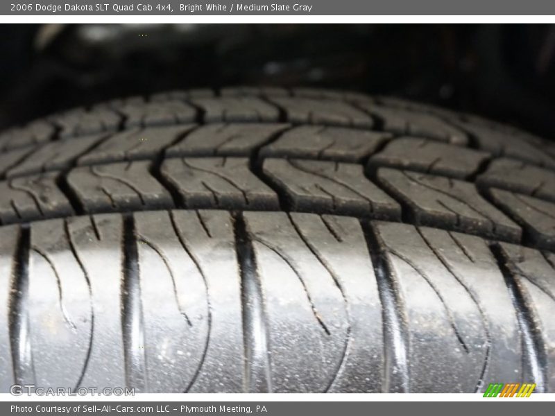 Bright White / Medium Slate Gray 2006 Dodge Dakota SLT Quad Cab 4x4