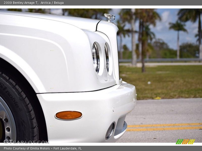 Arctica / Beluga 2009 Bentley Arnage T