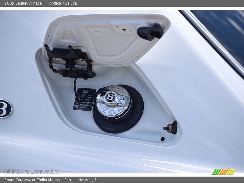 Arctica / Beluga 2009 Bentley Arnage T
