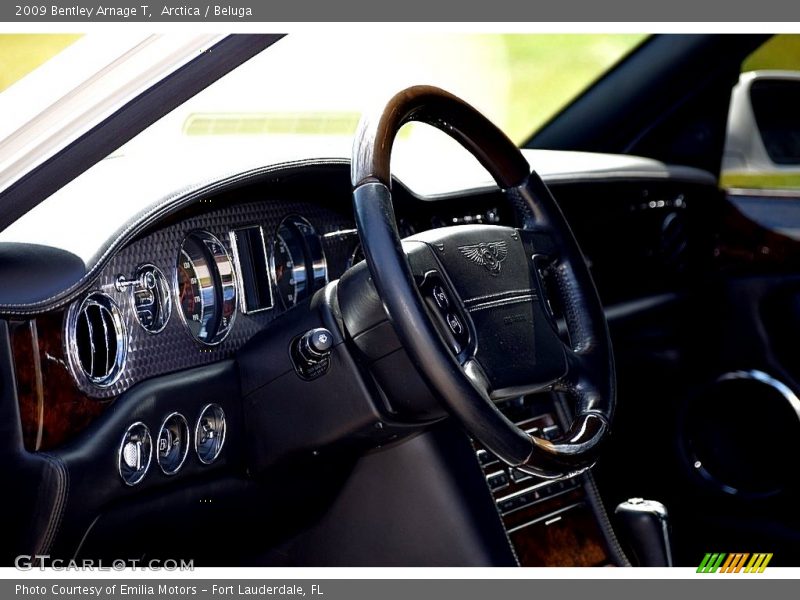 Arctica / Beluga 2009 Bentley Arnage T