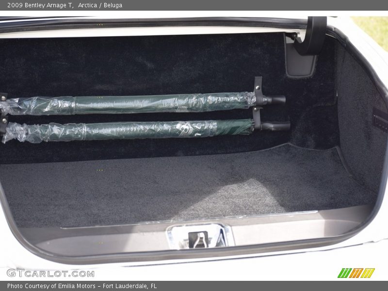 Arctica / Beluga 2009 Bentley Arnage T