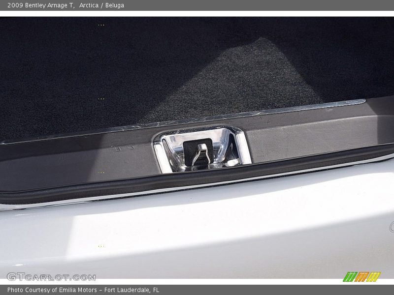 Arctica / Beluga 2009 Bentley Arnage T
