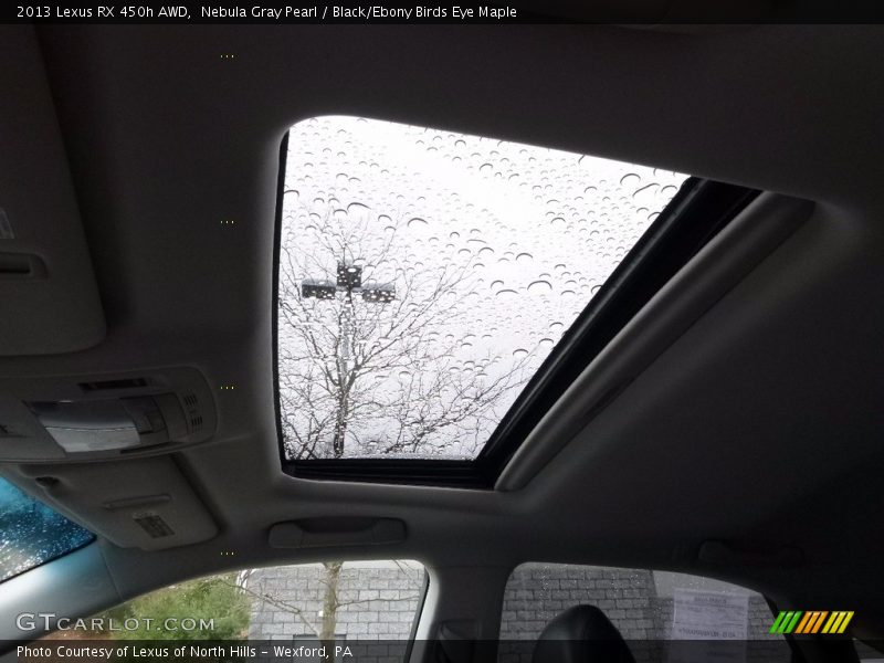 Nebula Gray Pearl / Black/Ebony Birds Eye Maple 2013 Lexus RX 450h AWD
