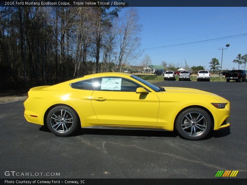  2016 Mustang EcoBoost Coupe Triple Yellow Tricoat