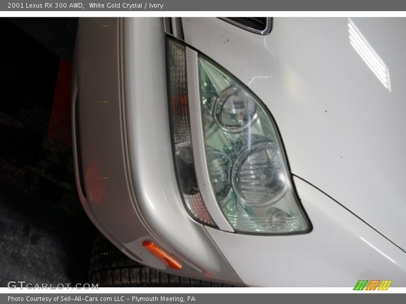 White Gold Crystal / Ivory 2001 Lexus RX 300 AWD