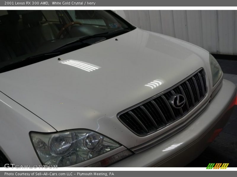 White Gold Crystal / Ivory 2001 Lexus RX 300 AWD