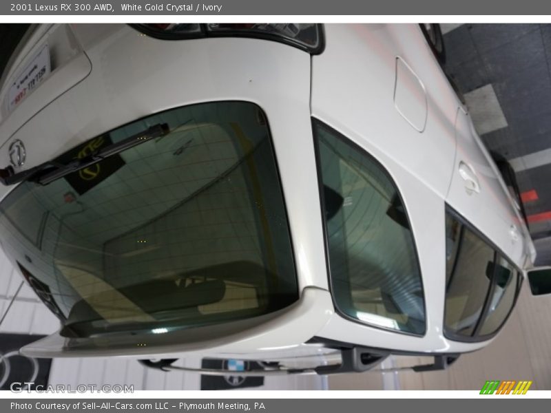 White Gold Crystal / Ivory 2001 Lexus RX 300 AWD