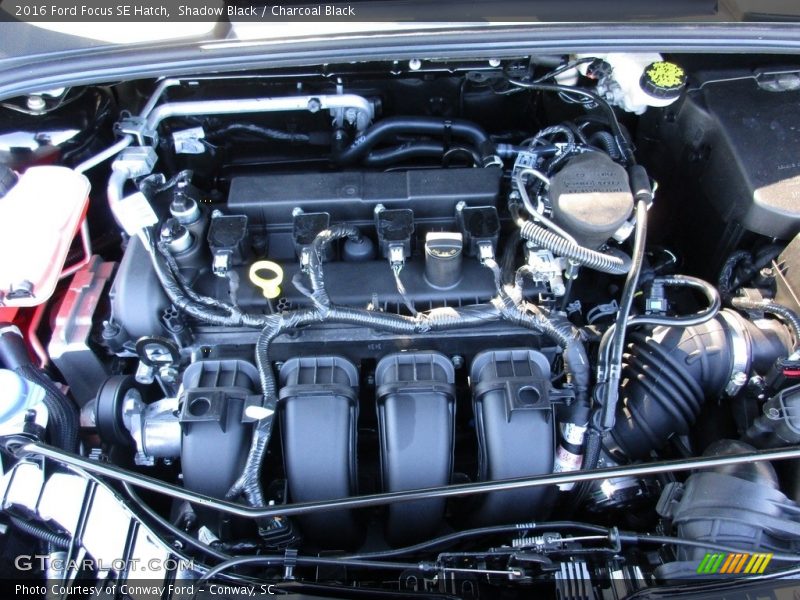 Shadow Black / Charcoal Black 2016 Ford Focus SE Hatch