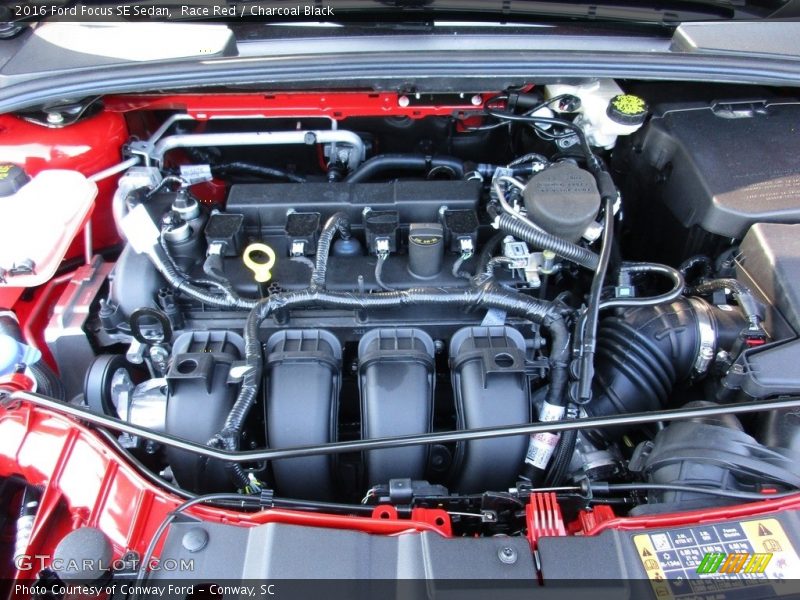 Race Red / Charcoal Black 2016 Ford Focus SE Sedan