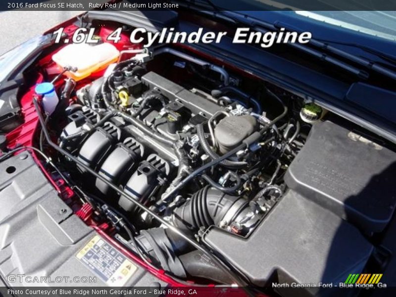 Ruby Red / Medium Light Stone 2016 Ford Focus SE Hatch