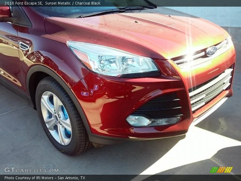 Sunset Metallic / Charcoal Black 2016 Ford Escape SE