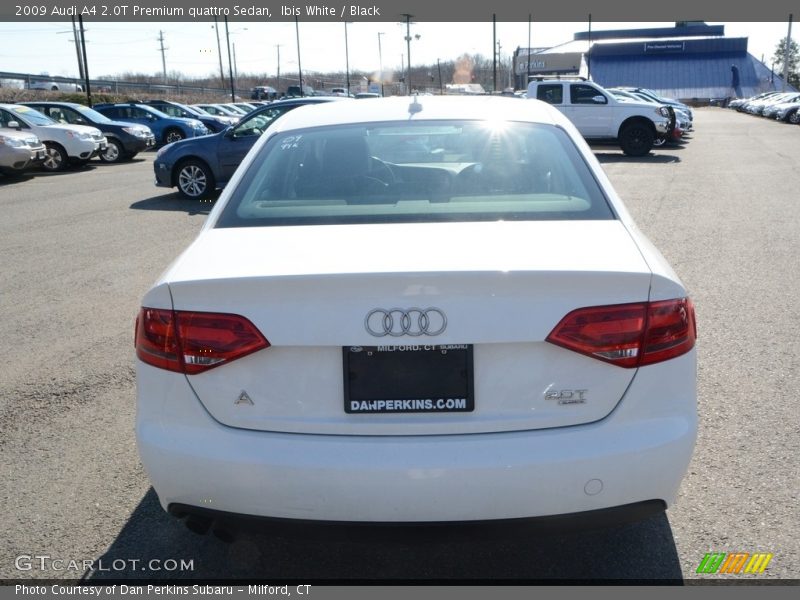 Ibis White / Black 2009 Audi A4 2.0T Premium quattro Sedan