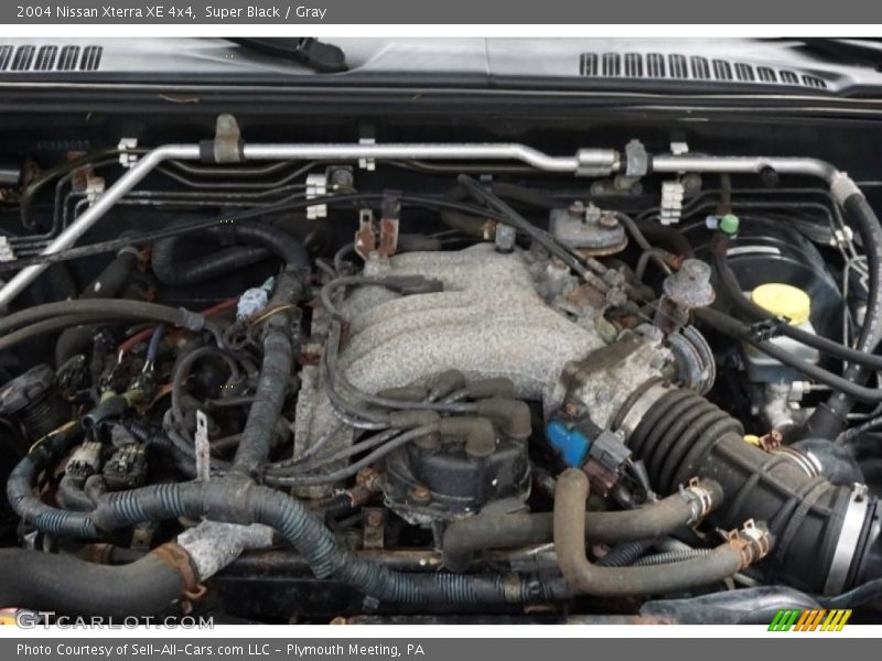 Super Black / Gray 2004 Nissan Xterra XE 4x4