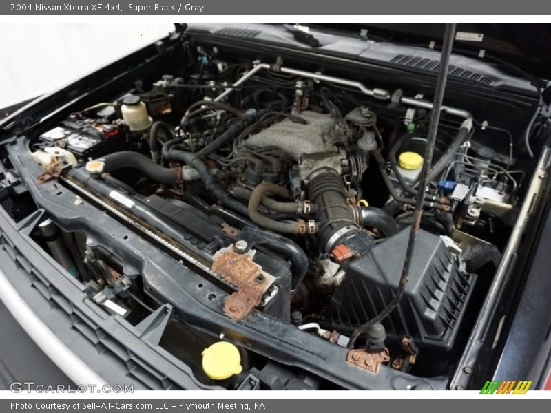 Super Black / Gray 2004 Nissan Xterra XE 4x4