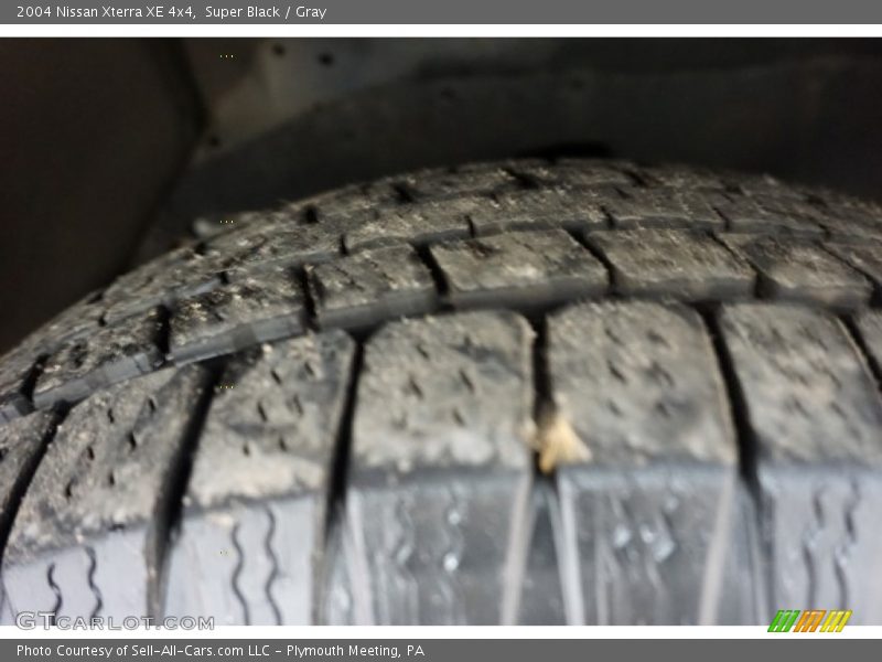 Super Black / Gray 2004 Nissan Xterra XE 4x4