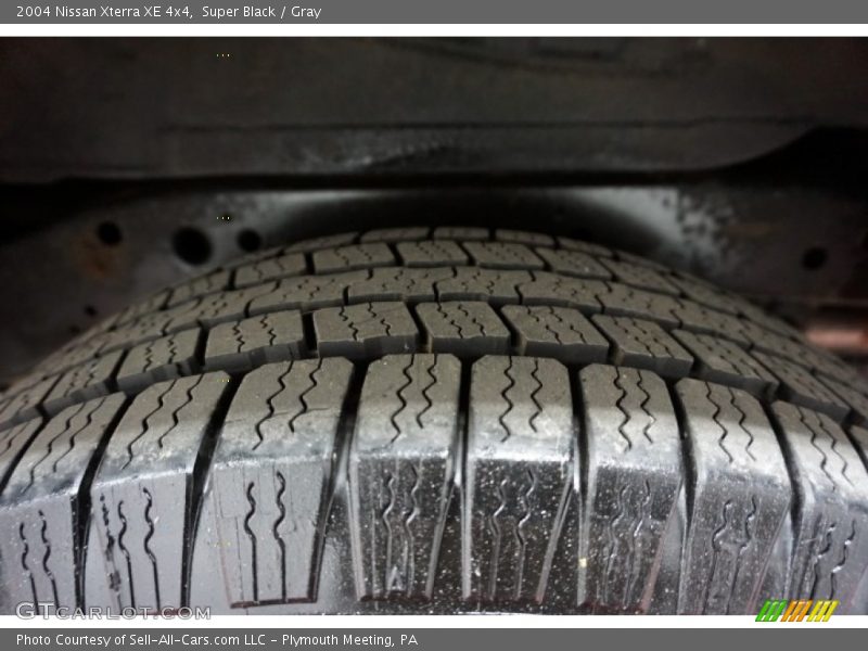 Super Black / Gray 2004 Nissan Xterra XE 4x4