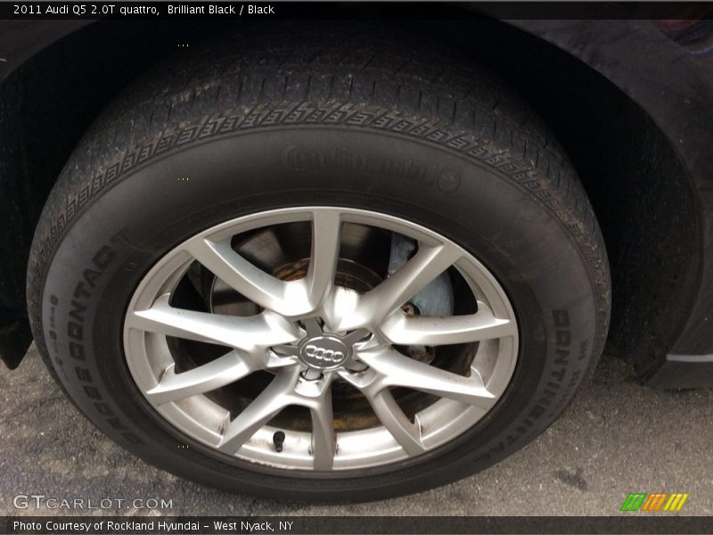 Brilliant Black / Black 2011 Audi Q5 2.0T quattro