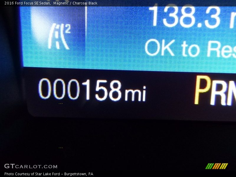 Magnetic / Charcoal Black 2016 Ford Focus SE Sedan