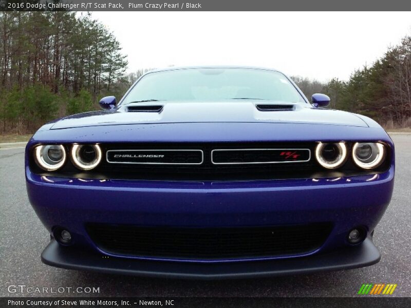 Plum Crazy Pearl / Black 2016 Dodge Challenger R/T Scat Pack