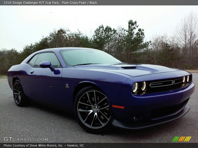 Plum Crazy Pearl / Black 2016 Dodge Challenger R/T Scat Pack