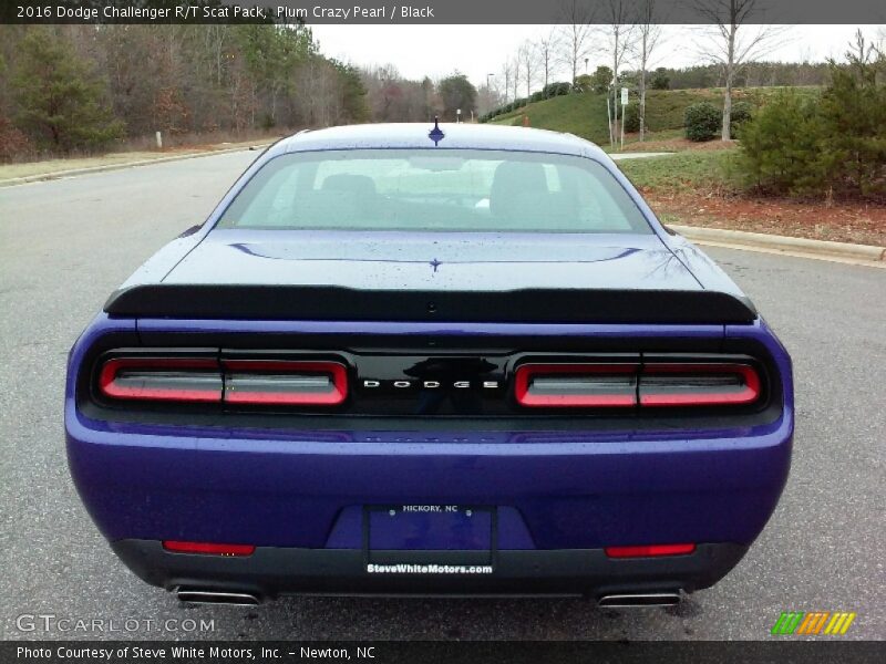 Plum Crazy Pearl / Black 2016 Dodge Challenger R/T Scat Pack