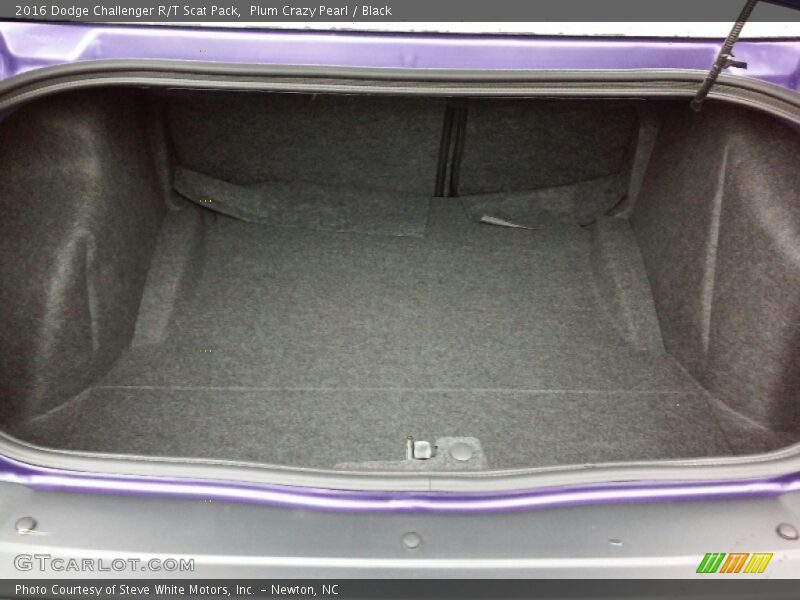 Plum Crazy Pearl / Black 2016 Dodge Challenger R/T Scat Pack