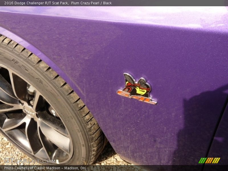 Plum Crazy Pearl / Black 2016 Dodge Challenger R/T Scat Pack