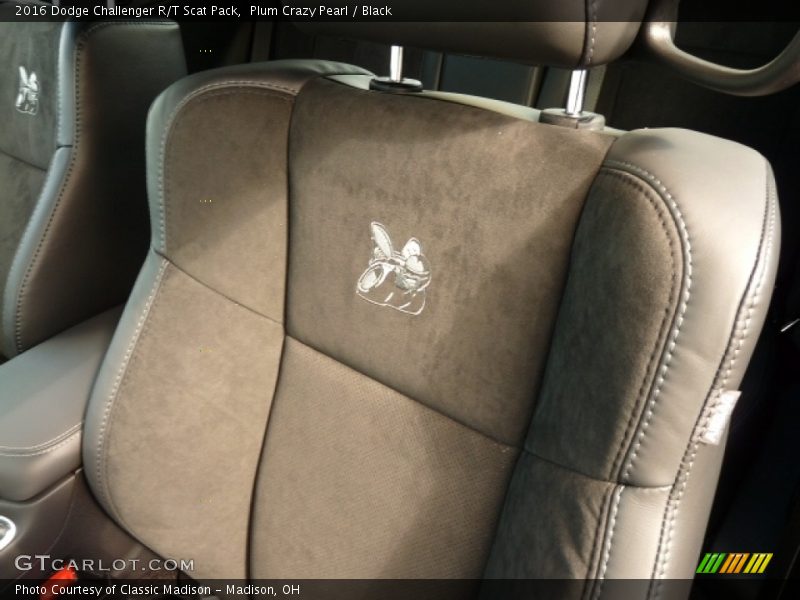 Plum Crazy Pearl / Black 2016 Dodge Challenger R/T Scat Pack