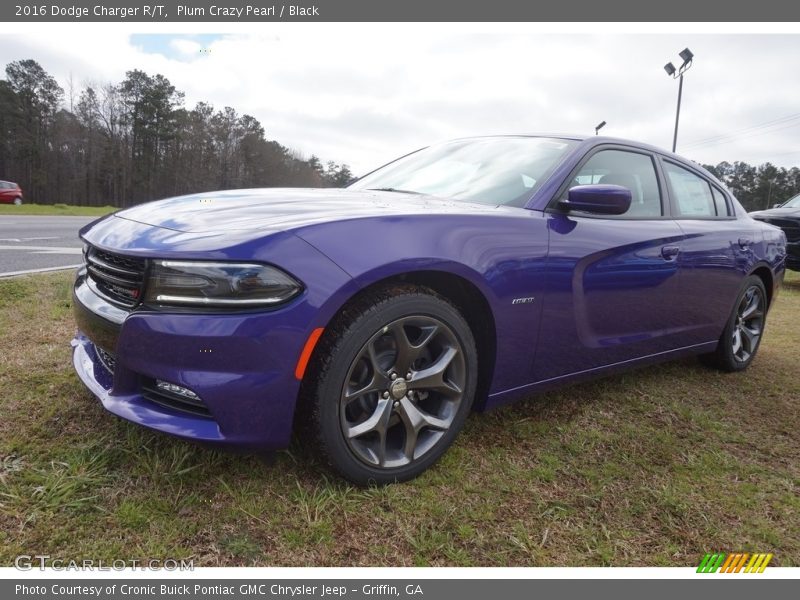 Plum Crazy Pearl / Black 2016 Dodge Charger R/T