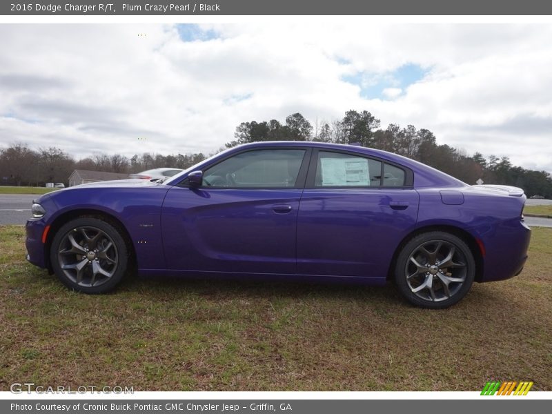 Plum Crazy Pearl / Black 2016 Dodge Charger R/T