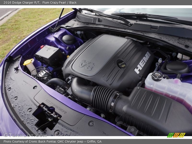 Plum Crazy Pearl / Black 2016 Dodge Charger R/T