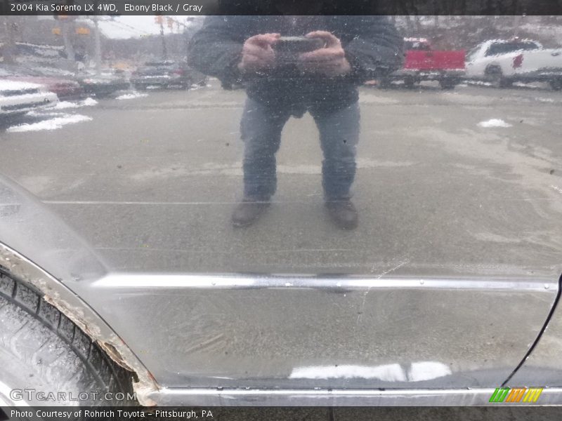 Ebony Black / Gray 2004 Kia Sorento LX 4WD