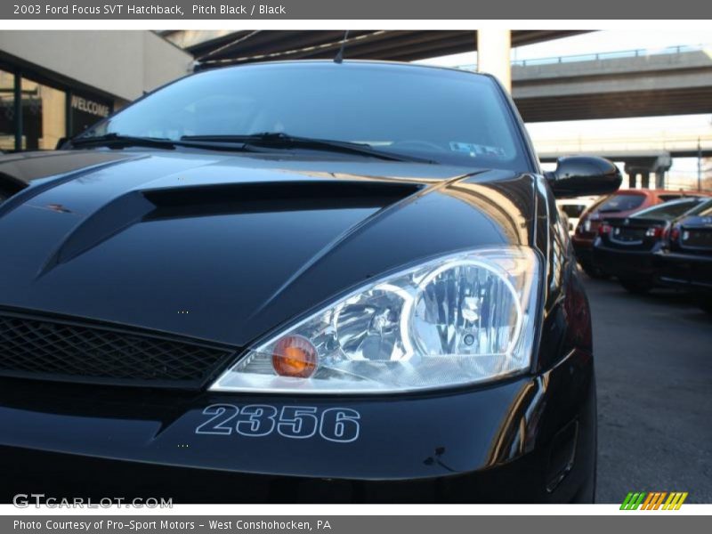 Pitch Black / Black 2003 Ford Focus SVT Hatchback
