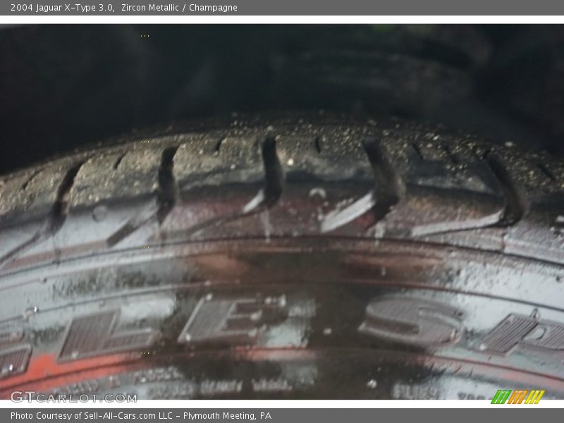 Zircon Metallic / Champagne 2004 Jaguar X-Type 3.0