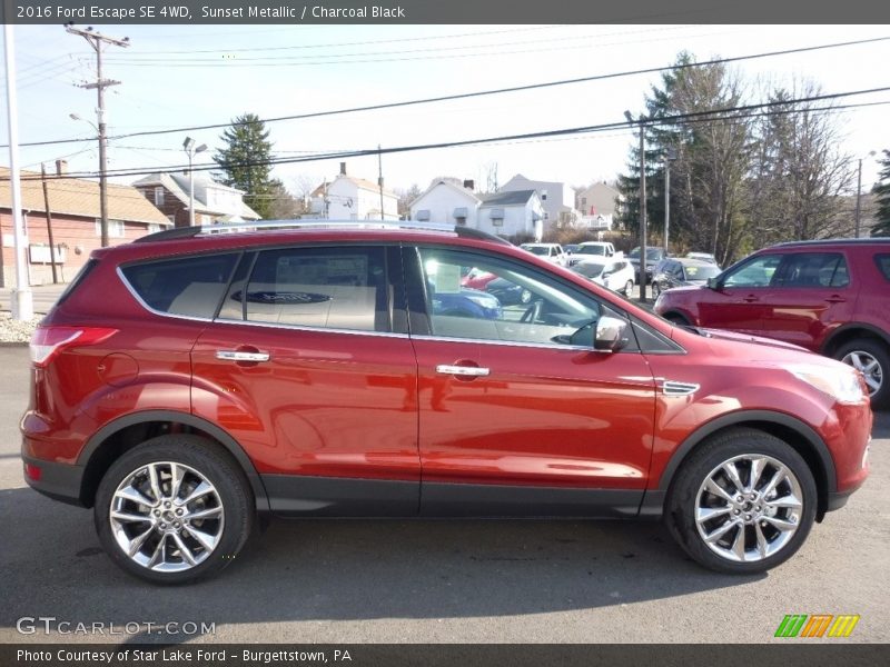 Sunset Metallic / Charcoal Black 2016 Ford Escape SE 4WD