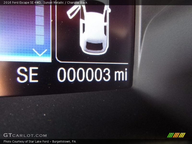 Sunset Metallic / Charcoal Black 2016 Ford Escape SE 4WD
